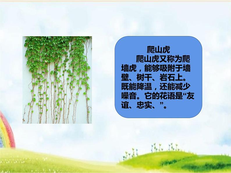 部编版道德与法治 一年级下册 第二单元6.花儿草儿真美丽课件PPT第4页