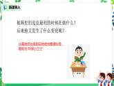 第十课《我们不乱扔》课件+教案+素材