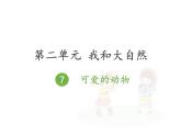 人教版道法《可爱的动物》PPT课件