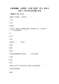 小学政治 (道德与法治)人教部编版 (五四制)一年级下册第二单元 我和大自然6 花儿草儿真美丽精品课时练习