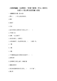 政治 (道德与法治)一年级下册第二单元 我和大自然6 花儿草儿真美丽优秀课时练习