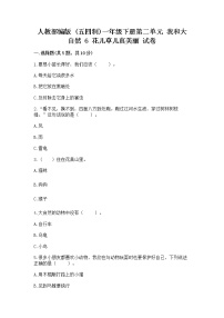 小学政治 (道德与法治)人教部编版 (五四制)一年级下册第二单元 我和大自然6 花儿草儿真美丽精品随堂练习题