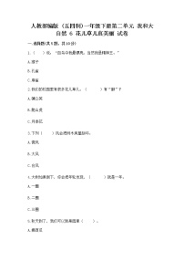 小学政治 (道德与法治)人教部编版 (五四制)一年级下册第二单元 我和大自然6 花儿草儿真美丽精品同步训练题