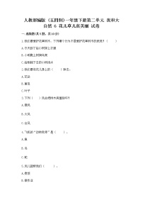 小学政治 (道德与法治)人教部编版 (五四制)一年级下册第二单元 我和大自然6 花儿草儿真美丽精品同步练习题