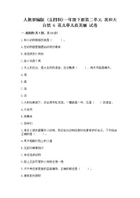 政治 (道德与法治)一年级下册6 花儿草儿真美丽精品同步达标检测题