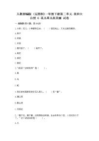 小学政治 (道德与法治)人教部编版 (五四制)一年级下册第二单元 我和大自然6 花儿草儿真美丽精品课时训练