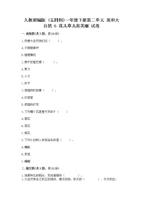 小学政治 (道德与法治)人教部编版 (五四制)一年级下册6 花儿草儿真美丽精品课后作业题