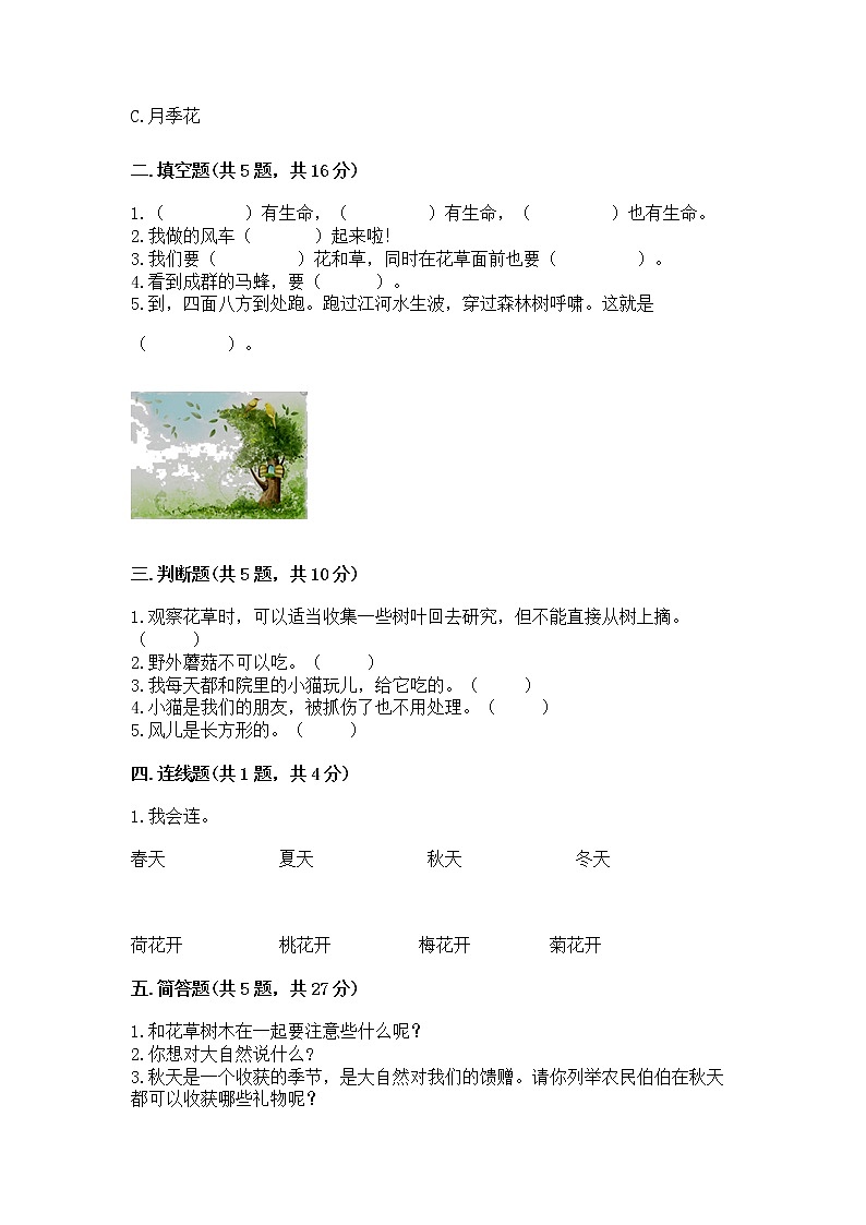 人教部编版  一年级下册第二单元 我和大自然 6 花儿草儿真美丽 测试卷加答案下载第2页