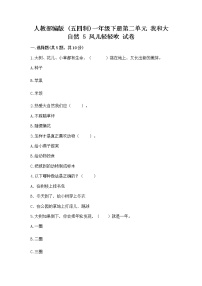 小学人教部编版 (五四制)5 风儿轻轻吹精品练习题