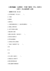 政治 (道德与法治)一年级下册5 风儿轻轻吹优秀练习