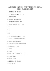 小学政治 (道德与法治)5 风儿轻轻吹精品课后复习题