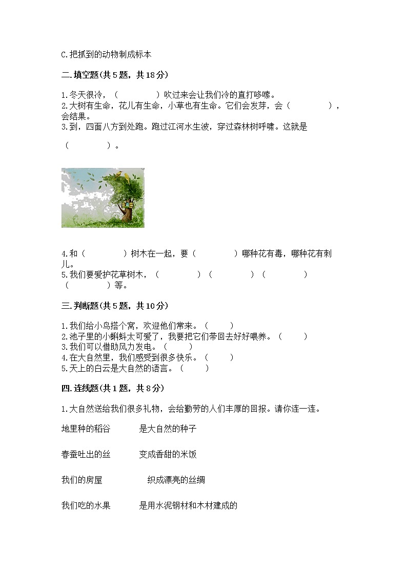 人教部编版 一年级下册第二单元 我和大自然 5 风儿轻轻吹 试卷附答案【巩固】第2页