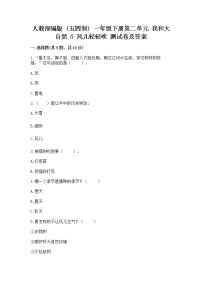 小学政治 (道德与法治)人教部编版 (五四制)一年级下册5 风儿轻轻吹习题