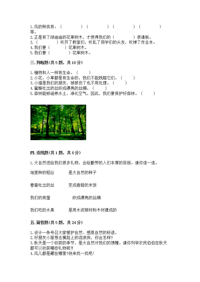 人教部编版  一年级下册第二单元 我和大自然 5 风儿轻轻吹 测试卷及参考答案（培优）第2页