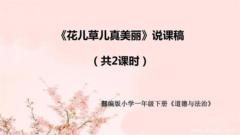 部编版道德与法治一年下册《花儿草儿真美丽》说课稿共2课时（附教学反思）课件PPT01