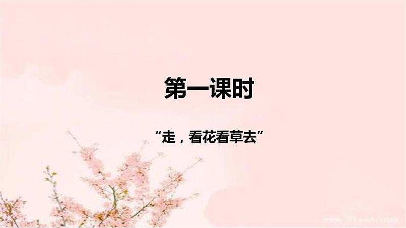 部编版道德与法治一年下册《花儿草儿真美丽》说课稿共2课时（附教学反思）课件PPT03