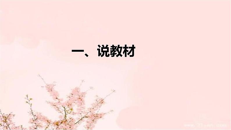 部编版道德与法治一年下册《花儿草儿真美丽》说课稿共2课时（附教学反思）课件PPT04