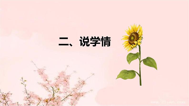 部编版道德与法治一年下册《花儿草儿真美丽》说课稿共2课时（附教学反思）课件PPT06