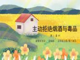 第3课《主动拒绝烟酒与毒品》第二课时 课件+教案