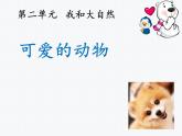 7 可爱的动物课件(共29张PPT)