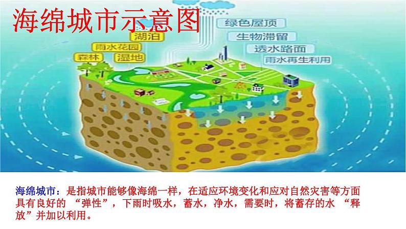 3.9.《小水滴的诉说 》 课件（共13张PPT）第3页