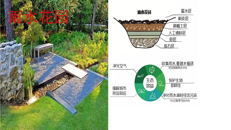 3.9.《小水滴的诉说 》 课件（共13张PPT）第6页