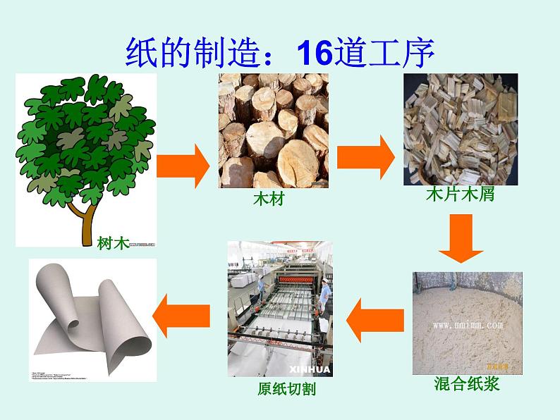 11 我是一张纸(共19张PPT)06