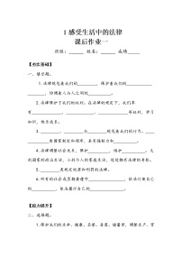 六年级上册第一单元 我们的守护者1 感受生活中的法律同步达标检测题