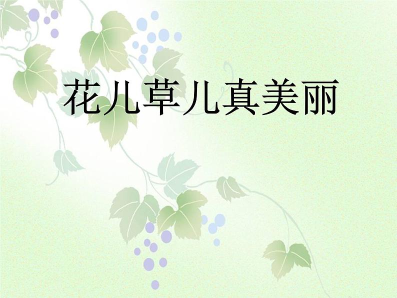 2022学年小学道德与法治统编版一年级下册第二单元《6花儿草儿真美丽》精优课件01