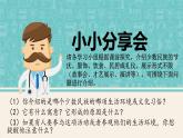 部编版道德与法治5年级7 中华民族一家亲   第二课时课件