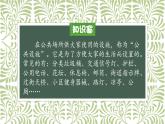三年级下册8 大家的“朋友”课件