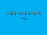 道德与法治三年级下册12.慧眼看交通课件