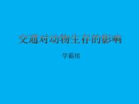 小学政治 (道德与法治)人教部编版三年级下册12 慧眼看交通授课ppt课件