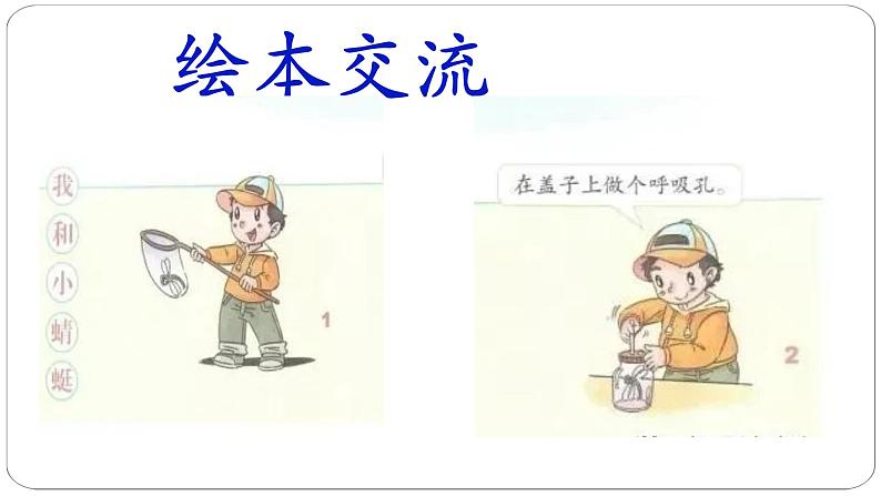 小学 一年级 道德与法治 第二单元第七课《可爱的动物》第二课时 课件第4页