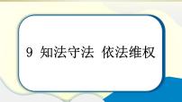 人教部编版六年级上册9 知法守法，依法维权作业课件ppt