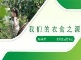 小学道德与法治 部编版 四年级下册 第三单元第七课《我们的衣食之源》第二课时 课件