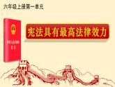 小学《道德与法治》部编版 六年级 第一单元第二课 第2课时《宪法具有最高法律效力》 《宪法是根本法》 课件