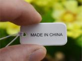 《这些东西哪里来》课件