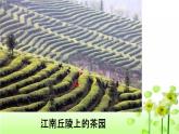 【部编人教版】五年级上语文道德与法治《6 我们神圣的国土》第三课时优质课教学课件