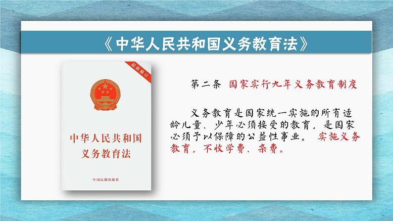 六上8我们受特殊保护课件第5页