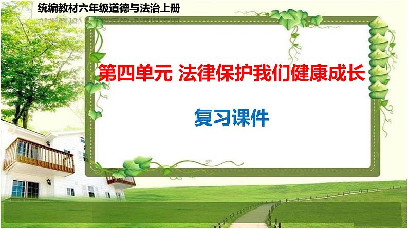 六年级道德与法治上册第四单元《法律保护我们健康成长》复习课件01