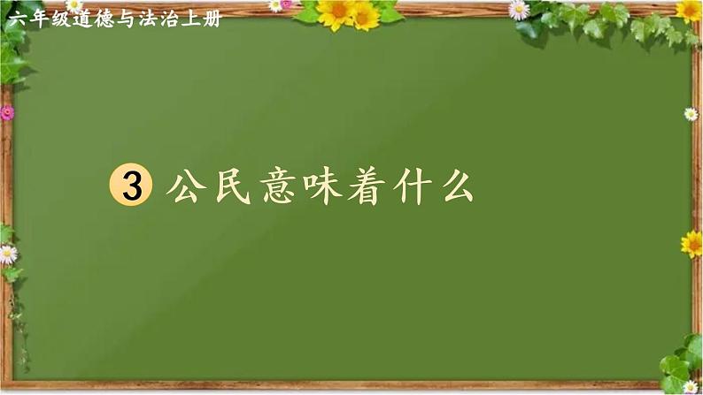 部编版道德与法治六年级上册 3 公民意味着什么 课件02