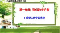 小学政治 (道德与法治)人教部编版六年级上册1 感受生活中的法律示范课课件ppt