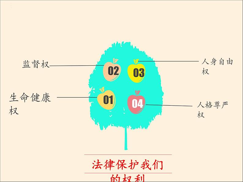 人教部编版六年级道德与法治上册1《感受生活中的法律》课件+教案+学案08