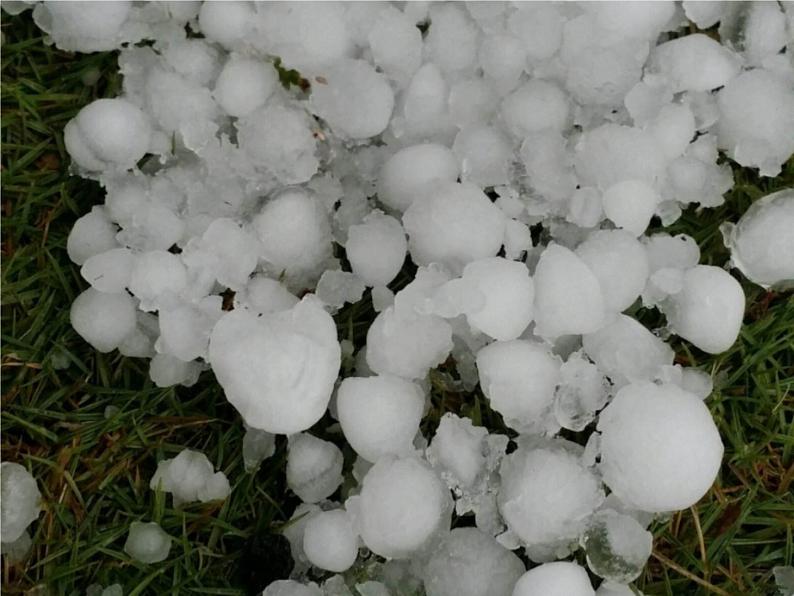 人教版部编本六年级下册道德与法治第5课《应对自然灾害》第2课时 课件+教案+素材03