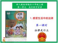 小学政治 (道德与法治)人教部编版六年级上册1 感受生活中的法律课文课件ppt