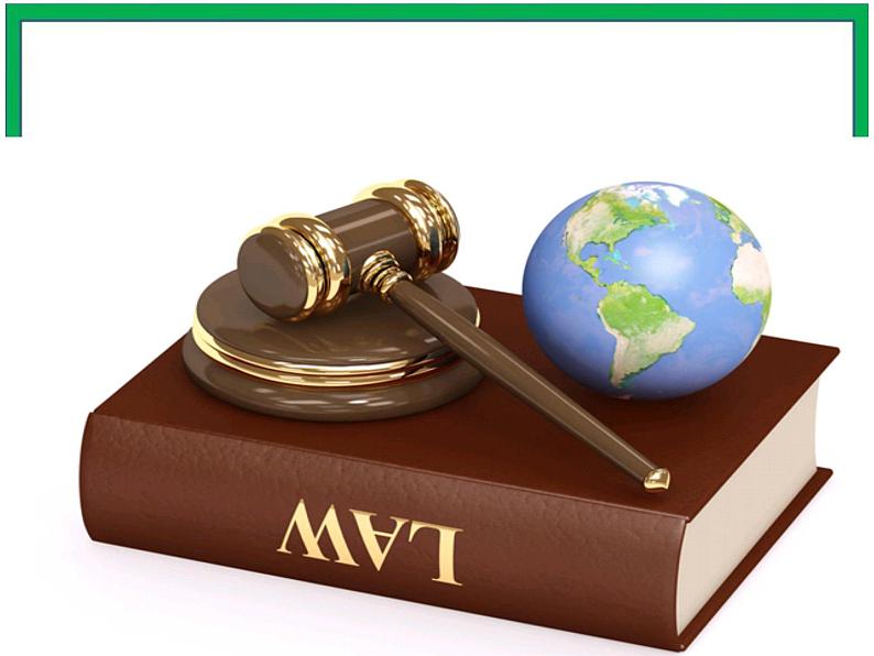 9.知法守法依法维权第3课时课件第2页