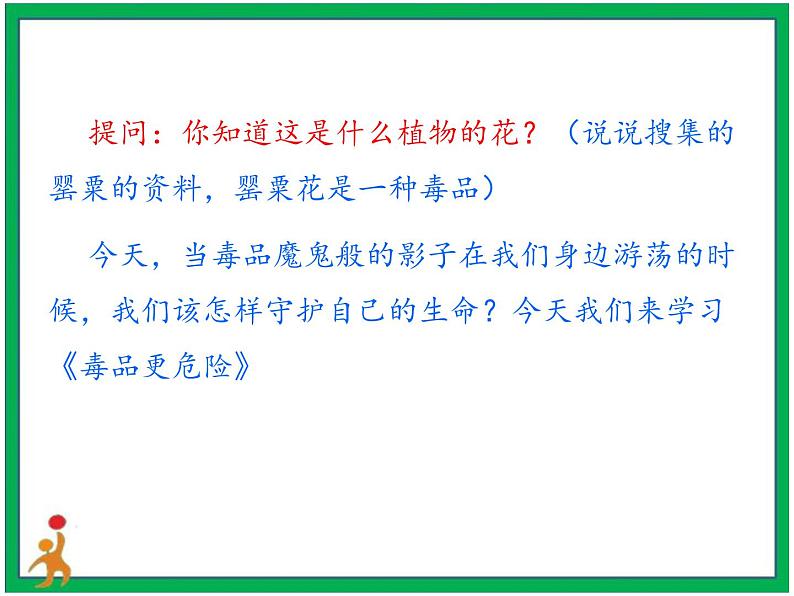 3.主动拒绝烟酒与毒品 第2课时 课件+教案06