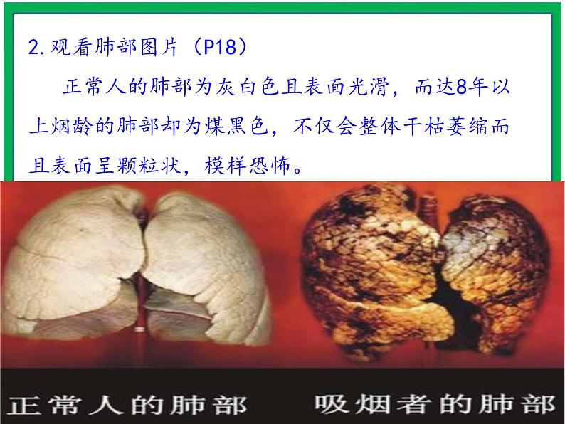 3.主动拒绝烟酒与毒品 第3课时 课件+教案08