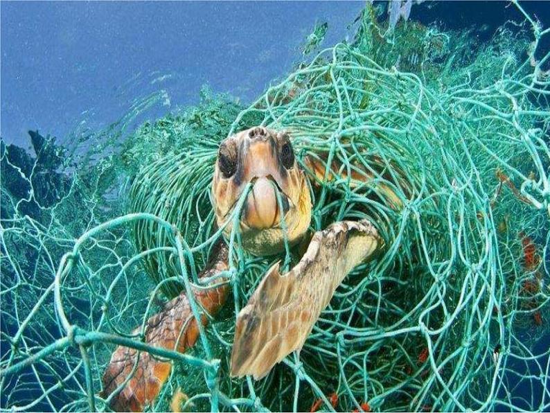 11.变废为宝有妙招  第1课时 课件+配套教案+视频素材04